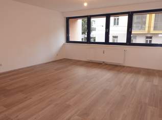 Ideale, großzügige Garconniere - tolle Aufteilung !, 839 €, Immobilien-Wohnungen in 1100 Favoriten