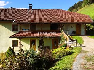 Gemeinsam leben, eigenständig wohnen: Wohnhaus mit zwei Einheiten, 386000 €, Immobilien-Häuser in 9913 Gemeinde Abfaltersbach Gemeinsam leben, eigenständig wohnen: Wohnhaus mit zwei Einheiten, 386000 €, Immobilien-Häuser in 9913 Gemeinde Abfaltersbach