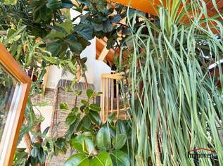 WUNDERSCHÖNER WINTERGARTEN und großes Einamilienhaus in begehrter Lage in St. Pölten (Wagram), 459000 €, Immobilien-Häuser in 3100 Stattersdorf