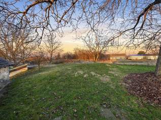 Bauen Sie Ihr Wohndomizil im Weinviertel – Grundstück mit Bauland-Agrar-Widmung, Presshaus und Keller!, 40000 €, Immobilien-Grund und Boden in 2042 Großnondorf