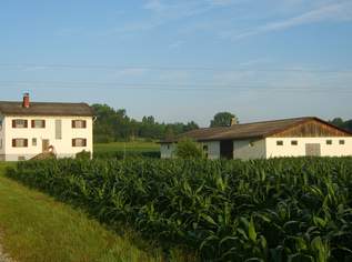 Landwirtschaft mit Potential, 1350000 €, Immobilien-Gewerbeobjekte in 8521 Wettmannstätten