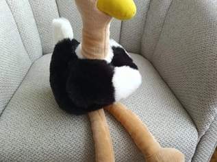 GROßE Vogelstrauß Handpuppe, von Kopf bis FussENDE ca 55cm, FIXPREIS 17€ / NUR SELBSTABHOLUNG,23 Bez. KEIN Versand ! ! ! ! ! GROßE Vogelstrauß Handpuppe, von Kopf bis FussENDE ca 55cm, FIXPREIS 17€ / NUR SELBSTABHOLUNG,23 Bez. KEIN Versand ! ! ! ! !