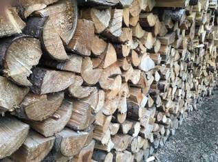 Brennholz, 70 €, Haus, Bau, Garten-Hausbau & Werkzeug in 3902 Vitis
