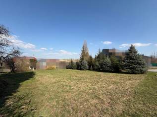 Sonniges Baugrundstück ohne Bauverpflichtung, 329000 €, Immobilien-Grund und Boden in 4073 Appersberg Sonniges Baugrundstück ohne Bauverpflichtung, 329000 €, Immobilien-Grund und Boden in 4073 Appersberg