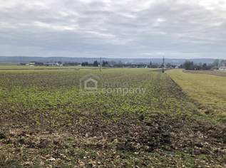 Schöner Baugrund unweit von Jennersdorf, 47500 €, Immobilien-Grund und Boden in 8380 Rax