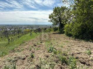 FÜR LANGFRISTIGE ANLEGER IN ORTSRAND-RUHELAGE MIT TOP PANORAMA, 389000 €, Immobilien-Grund und Boden in 2500 Gemeinde Baden