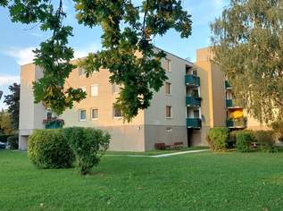 "Moderne Balkonwohnung 4 Zimmer nahe Lobau!“, 289000 €, Immobilien-Wohnungen in 2301 Gemeinde Groß-Enzersdorf