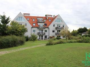 Entzückende und helle,-freundliche Familienwohnung mit Balkon und Tiefgaragenplatz in Mödling!, 1120 €, Immobilien-Wohnungen in 2340 Gemeinde Mödling