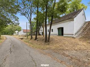 Charmantes Weinpresshaus mit Weinkeller in Minichhofen – Idyllische Grünruhelage im sonnigen Weinviertel, 89900 €, Immobilien-Gewerbeobjekte in 3720 Minichhofen