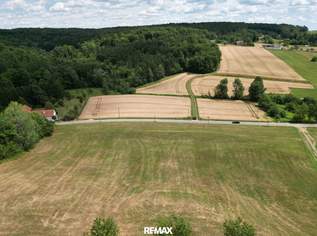 Großzügiges Baugrundstück in leichter Hanglage ohne Bauzwang im "Apfeldorf Kukmirn" im Südburgenland, 165000 €, Immobilien-Grund und Boden in 7543 Kukmirn