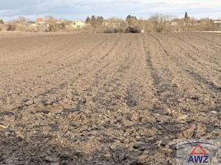 Bester Acker in super Lage!, 0 €, Immobilien-Grund und Boden in 3464 Pettendorf