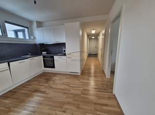Provisionsfreie 3-Zimmer Dachgeschosswohnung , Erstbezug, 1300 €, Immobilien-Wohnungen in 1220 Donaustadt