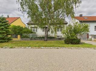 Viel Raum, viel Grün, viel Potenzial – Solides Einfamilienhaus in Apetlon, 199000 €, Immobilien-Häuser in 7143 Apetlon Viel Raum, viel Grün, viel Potenzial – Solides Einfamilienhaus in Apetlon, 199000 €, Immobilien-Häuser in 7143 Apetlon