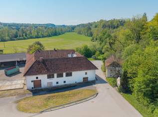 Vierkanthof mit Potential- teilweise Widmung B und MB, 798000 €, Immobilien-Grund und Boden in 4643 Mitterndorf